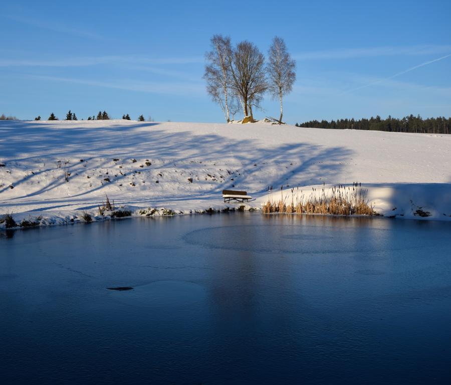 Отель Zum Waldnaabtal Windischeschenbach Экстерьер фото