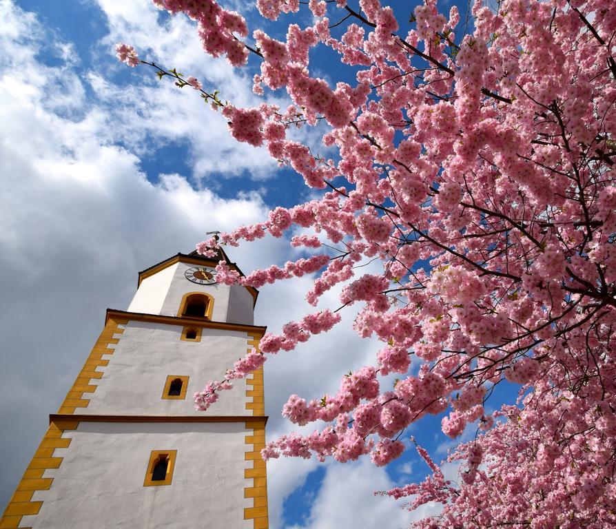 Отель Zum Waldnaabtal Windischeschenbach Экстерьер фото